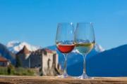 I vini della Venosta - Presentazione dei vini al Castello di Castelbello